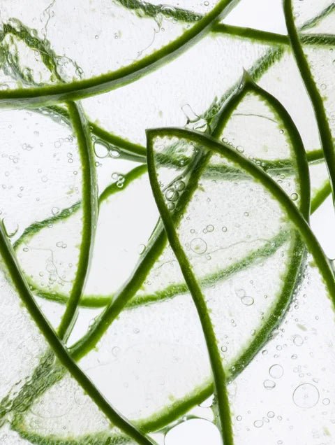 Anti-Age Hydrogel Eye Patches - | Nuvessa Skincare