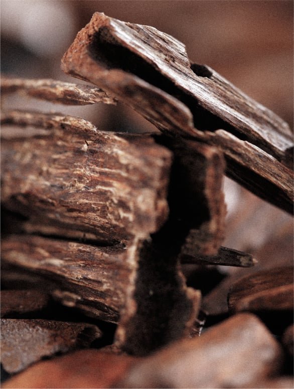 Keratin Volume Boost Shampoo for Fine Hair - Hair Care | Nuvessa Skincare