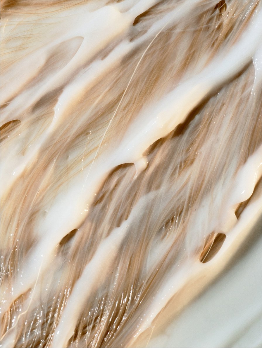 Keratin Volume Boost Conditioner - | Nuvessa Skincare